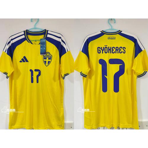 第6季Plus 球迷恸哭意大利，哲凯一炮救瑞典